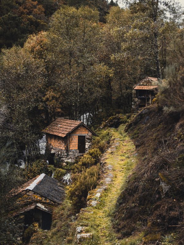 A vertical image of traditional houses in a village a the side of a mountain surrounded by trees